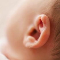 gebaerdensprachberatung_info gebaerdensprachberatung_info